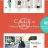 Coleo | A Stylish Fashion Clothing Store WordPress Theme