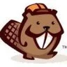 BEAVER THEME WordPress 扩展插件